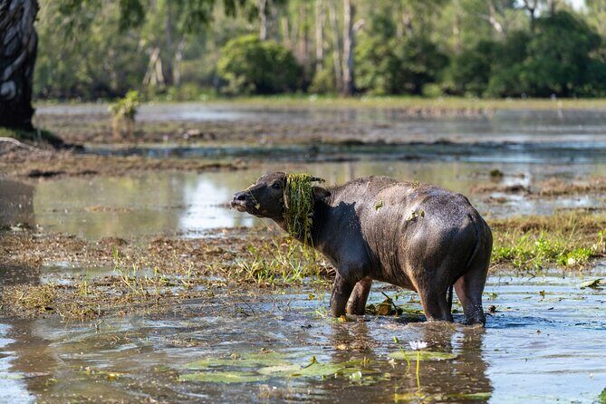 2 Day Kakadu Highlights Tour - What Makes This Tour Stand Out?