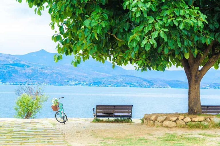 2-Day Lugu Lake: Boat Ride, Island Hike & Mosuo Cultural - Practical Aspects of the Tour