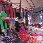 2 Day Mai Chau Journey Villages Rice Fields and Local Life - Final Thoughts: Who Should Book This Tour?