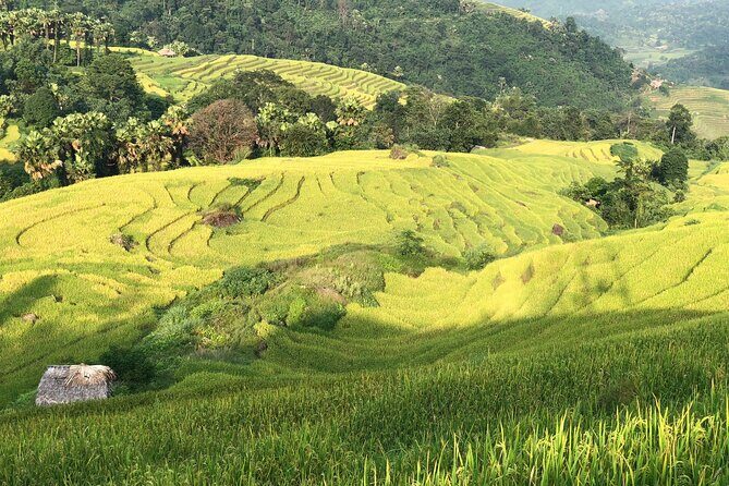 2-Day Motorbike Tour to Mu Cang Chai Loop from Sapa - Who Would Love This Tour?