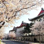 2-Day Nanjing Private Flexible Customized Tour with Lunch Option - Frequently Asked Questions