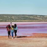2 Day Pink Lake the Pinnacles & Sand Dunes Coral Coast Tour - Transportation & Group Size