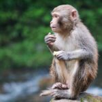 2-Day Private Tour to Zhangjiajie from Shanghai by Air with Accommodation - Practical Considerations