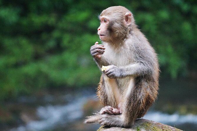 2-Day Private Tour to Zhangjiajie from Shanghai by Air with Accommodation - Practical Considerations