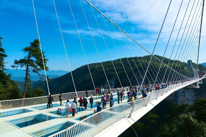 2-Day Private Tour to Zhangjiajie National Park from Shanghai with Accommdation - Who Would Love This Tour?