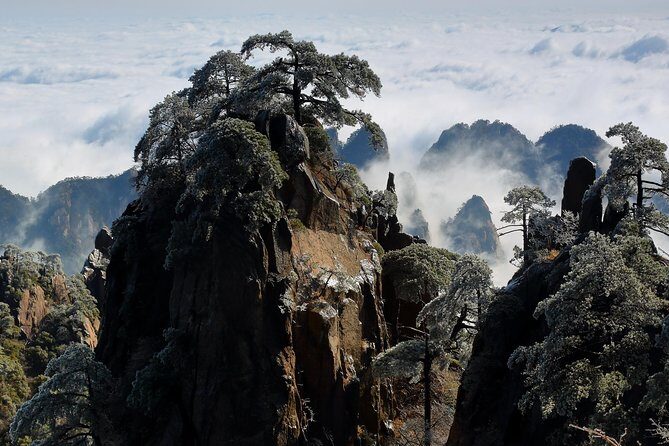2-Day Private Trip to Huangshan and Hongcun from Shanghai with Accommodation - Transportation & Comfort