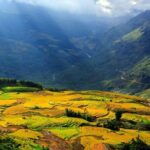 2 Day Sapa Trekking Tour - An In-Depth Look at the Sapa Trekking Experience