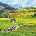 2-Day SAPA Trekking - Villages-Homestay-Ethnic-Local Food-Market - Who Would Love This Tour?