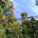 2-Day Sunrise Trek in Shivapuri Chisapani from Kathmandu - What’s Not Included?