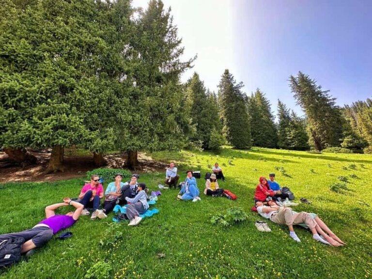 2-day tour along the southern coast of Issyk-Kul lake - Why This Tour Offers Great Value