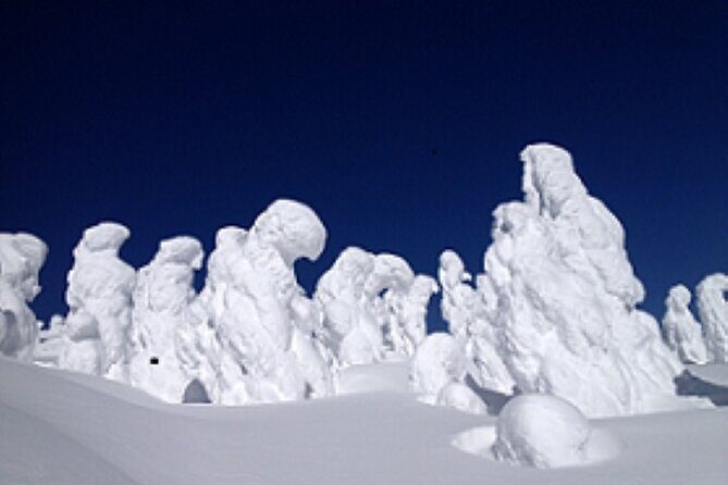 2-Day Zao Snow Monsters Light-Up and Onsen Tour from Tokyo - Exploring the Itinerary in Detail