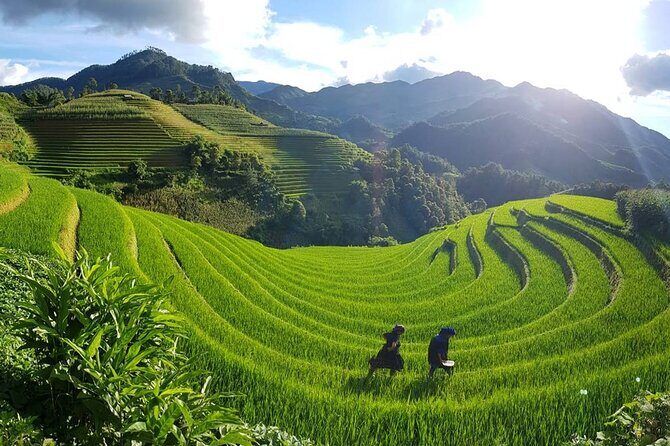 2 Days 1 Night Sapa Trekking Group Tour at Homestay - Detailed Breakdown of the Sapa Trekking Tour