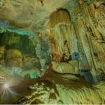 2 Days and 1 Nights Cycad Cruise Bai Tu Long Escape - Food and Dining Highlights