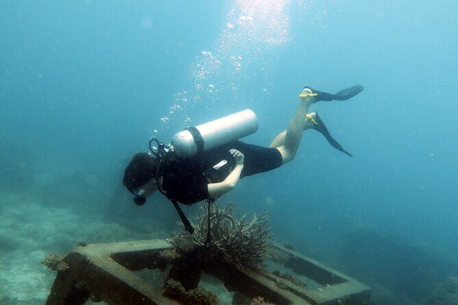 2 Days Guided Advanced Open Water Course in Thailand - The Learning Experience and Instructor Support