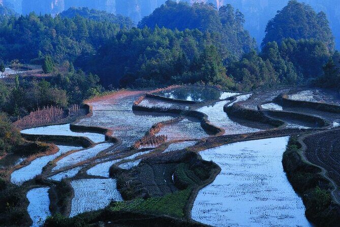 2 Days Honghe Yuanyang Hani Rice Terraces Private Tour - Why This Tour Offers Great Value