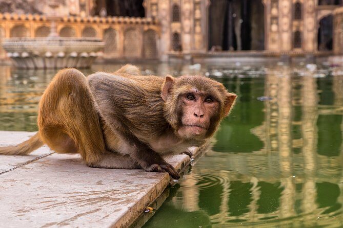 2 Days Jaipur City Tour from Agra - Practicalities and What You Need to Know