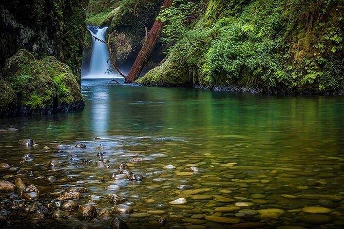 2 - Days: Jim Corbett jungle safari tour from Chennai by Flight - What’s Included & Whats Not