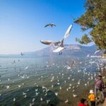 2 Days Kunming City Tour with Professional Private Tour Guide - Transportation and Practicalities