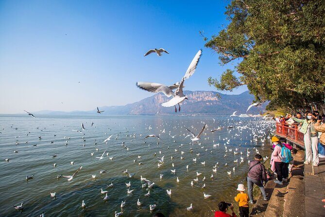 2 Days Kunming City Tour with Professional Private Tour Guide - Transportation and Practicalities