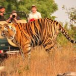 2 Days: Ranthambore Tiger Safari From Jaipur With Drop At Agra - Final Thoughts: Who Will Love This Tour?