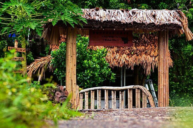 2 Days Shared Group Tour Buffalo Cave in Hoa Lu and Tam Coc - Who Should Consider This Tour?