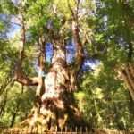 2 Days Smangus Adventure in Taiwan - Final Thoughts: Is It Worth It?