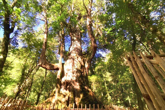 2 Days Smangus Adventure in Taiwan - Final Thoughts: Is It Worth It?