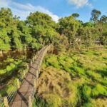 2 Days Tour in Cat Tien National Park - What Makes This Tour Stand Out?