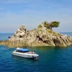 2 dives on coral reefs - no prior experience required - Practical Details and Considerations