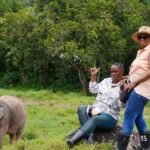 2 Hours Phuket Ethical Elephant Nature Park Visit - What reviewers say