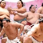 2026 Spring Sumo Tour - Regional Exhibition Viewing - What to Expect at Each Stop