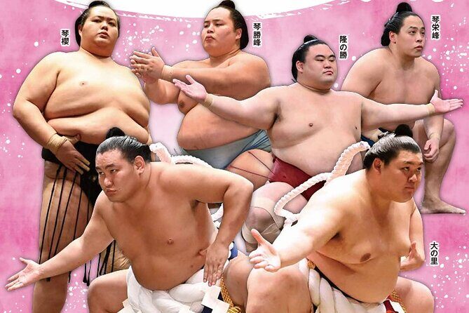 2026 Spring Sumo Tour - Regional Exhibition Viewing - What to Expect at Each Stop