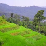 2days 1night : Trekking with Karen people and Doi Inthanon - Key Points