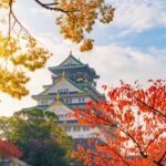 3/5/7/10 Days Private Japan Tour with English Speaking Guide - Why This Tour Offers Great Value