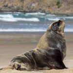 3 Day 2 Night New Zealands South Southern Highlights Tour - What Makes This Tour Valuable?