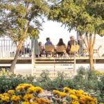 3-Day 2-Nignt Wine Taste Through China's Wine Region of Ningxia - Who Will Love This Tour?