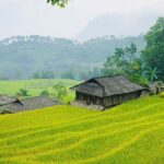 3 Day Bac Ha and Ban Phung Motorbike Tour from Sapa - The Sum Up