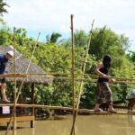 3-Day Guided Tour with Stay and Discovery in Mekong Delta - Day 2: Floating Markets and Bird Sanctuaries