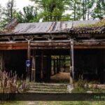 3-Day Horse Trekking Tour in Mongolia  Terelj National Park - What Travelers Say