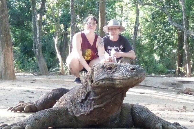 3-Day Komodo National Park Tour: Komodo Island and Rinca Island Trek - Detailed Day-by-Day Breakdown