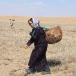 3 Day Nomadic Real Life Experience - What’s Included and What to Expect