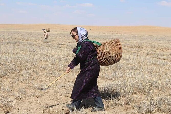 3 Day Nomadic Real Life Experience - What’s Included and What to Expect