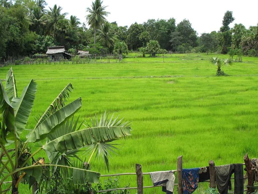 3-Day Private Angkor Wat Tour: Sunrise, Temples & Village - Who Is This Tour Best For?