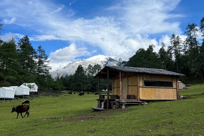 3-Day Private Hike from Haba Village to Tiger Leaping Gorge - Pricing and Value