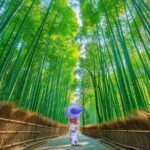 3 Day Private Osaka Kyoto and Nara Tour - Final Thoughts