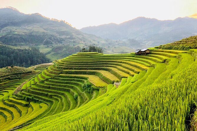 3-Day Sapa Adventure: Trekking Terraces and Hill Tribe Villages - Final Thoughts: Who Will Love This Tour?