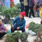 3-Day Tour in Jinping to visit the countryside fair near Guilin - The Value of the Price