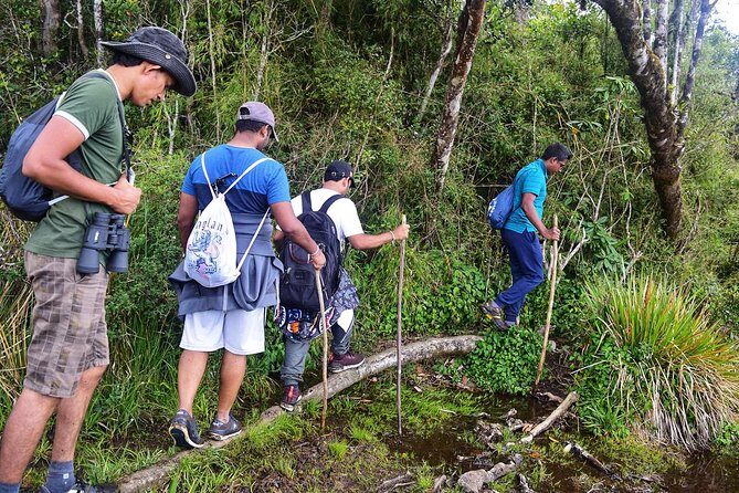 3-Day tour to Vedda Village & Two National Parks - Who Would Love This Tour?