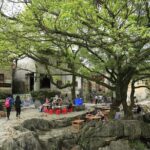 3-Day Trip to Hezhou and Huangyao in Guangxi by Bullet Train from Hong Kong - Pricing and Value Considerations