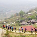 3 Days 2 Nights Sapa Trekking from Hanoi - The Bottom Line: Is This Tour for You?